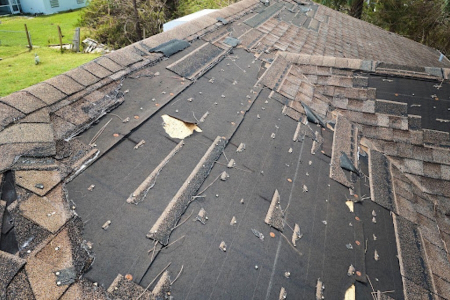 Damaged Florida roof with missing shingles and tree debris causing water exposure and structural risks.